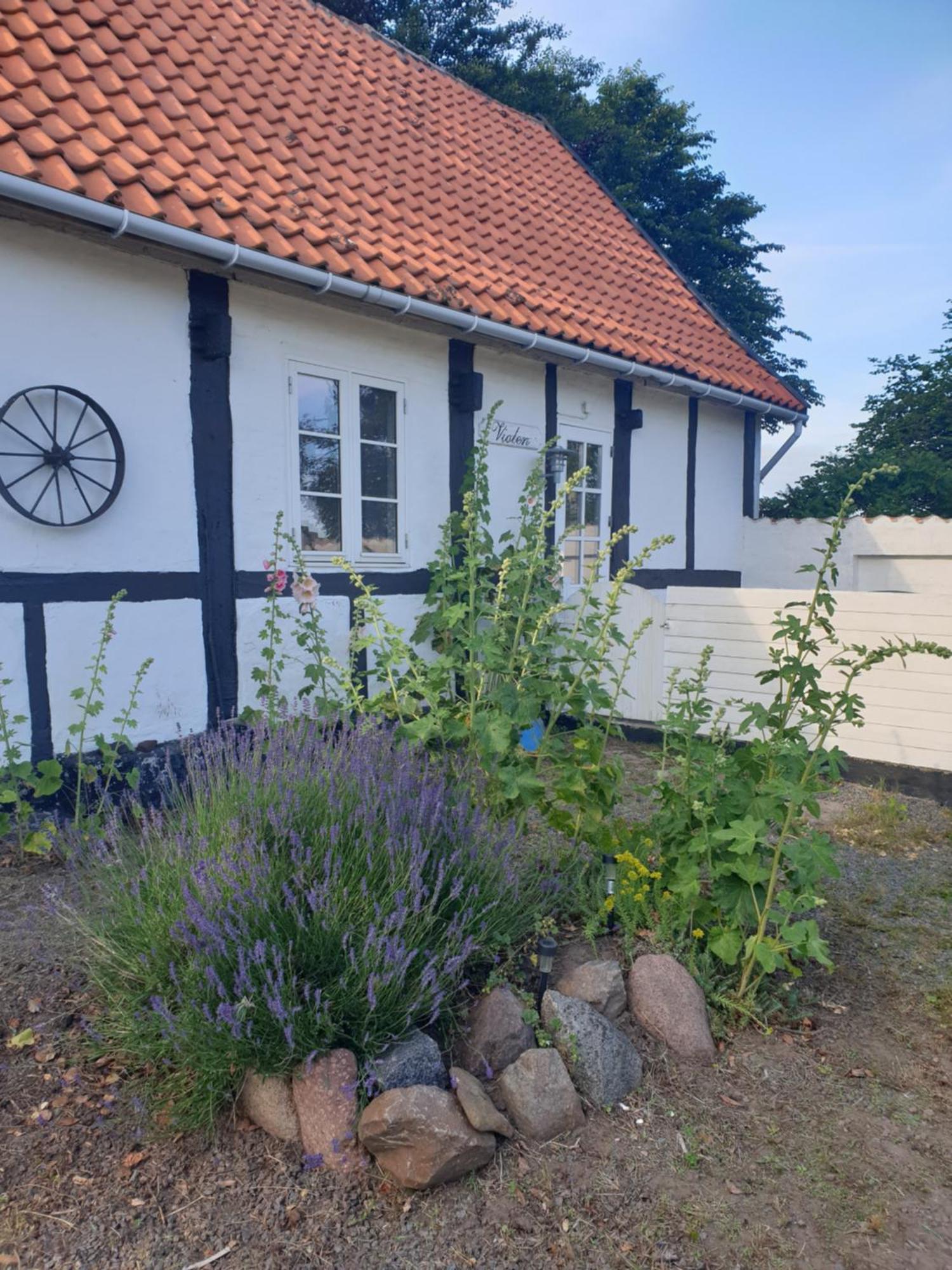 Violen Lägenhet Åkirkeby Exteriör bild